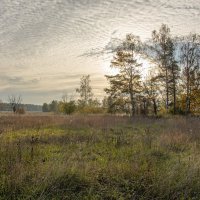 Осеннее утро :: Валерий Иванович Осеннее утро :: Валерий Иванович