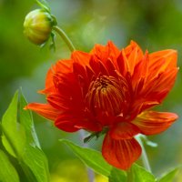 Доброе утро :: Юрий. Шмаков