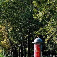 Афиша... :: Николай Саржанов