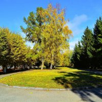 Чебоксары. Больничный сквер осенью. :: Пётр Чернега Чебоксары. Больничный сквер осенью. :: Пётр Чернега