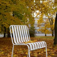 Одиночка :: Лариса Корж