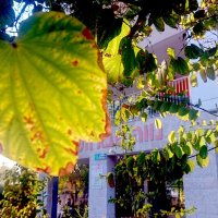 13  ОПЕН (487) :: OPEN WAYS ALL