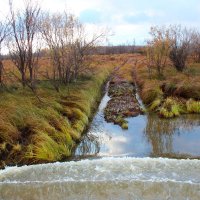 Волна :: Сергей Никифоров