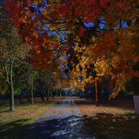 ...утро раннее осеннее :: Георгий Никонов