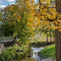 *** :: Геннадий Порохов