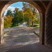 *** :: Геннадий Порохов