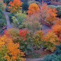 .разноцветие осени в моём дворе.. :: galalog galalog .разноцветие осени в моём дворе.. :: galalog galalog