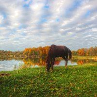 *** :: Сергей Григорьев