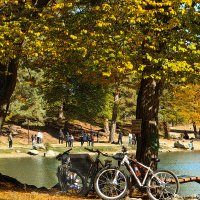 Осенние зарисовки :: Игорь 