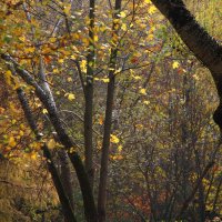 . :: РИТА ЛЕВКОВА