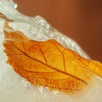 Осень со льдом :: Валерий Елистратов