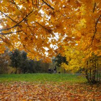 Осенний Сюжет :: юрий поляков Осенний Сюжет :: юрий поляков
