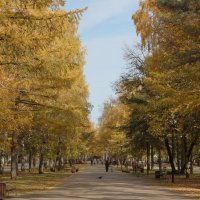 Октябрь уж наступил... :: Венера Чуйкова