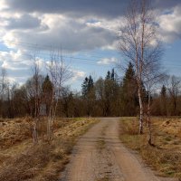 Дорога на аэродром Гривочки :: Артем 