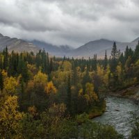 Ненастное утро............. :: Юрий Цыплятников