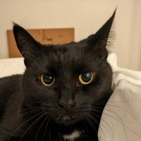 Даша. :: Murat Bukaev 