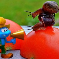 Трансформация 2(2ч.) - (коллаж) / Поднажмите! До финиша немного осталось! Кто первый?...)) :: Игорь Тельцов