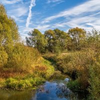 Осень достала краски 6 :: Андрей Дворников