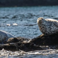 ... :: Жора Житников