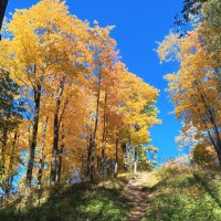 Осень :: Сапсан 