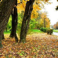 Золотая осень в городе. :: Милешкин Владимир Алексеевич Золотая осень в городе. :: Милешкин Владимир Алексеевич