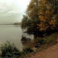 Прогулка у Москвы реки. :: Татьяна Помогалова