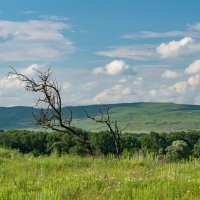 Окрестности :: Игорь Сикорский