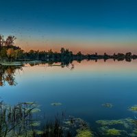 ...В зеркальном отражении.! :: Павел Курков