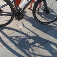 ......... :: Елена Шаламова