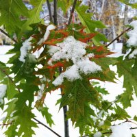 Красиво :: николай 