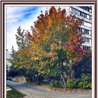 Осень гуляет по городу :: Владимир Кроливец Осень гуляет по городу :: Владимир Кроливец