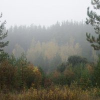 Картина в рамке :: sorovey Sol Картина в рамке :: sorovey Sol