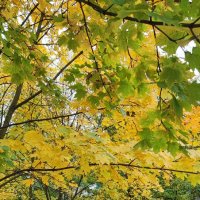 ,,, :: Сергей Тимоновский ,,, :: Сергей Тимоновский