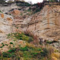 Донское :: Tanya Nikorovskaya