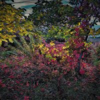 Untitled. :: Андрей. 