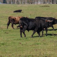 *** :: Геннадий Порохов