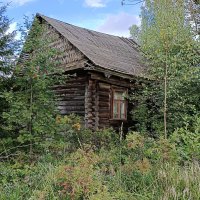 История небольшой деревеньки... :: Мария Васильева История небольшой деревеньки... :: Мария Васильева