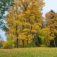 Звартавский замок :: Liudmila LLF Звартавский замок :: Liudmila LLF