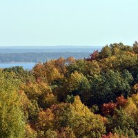 Осенние краски, :: Алексей .