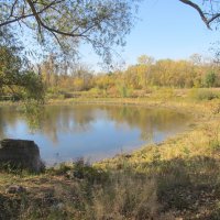 октябрь :: Елена Шаламова