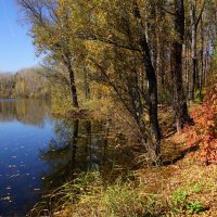 Вдоль озера по тропке :: Наталия Григорьева