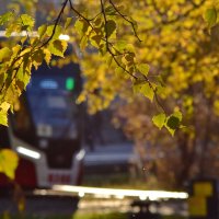 Осень в Перми :: Роман Пацкевич Осень в Перми :: Роман Пацкевич