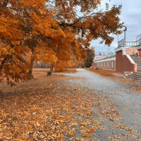 Осенний вальс листьев. :: Сергей Адигамов