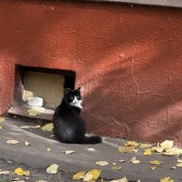 У дома своего :: Мария - Maria