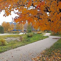 Московская осень :: Татьяна Тюменка