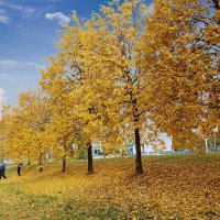 Московская осень :: Татьяна Тюменка