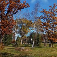 Осенняя картинка.. :: Татьян@ Ивановна
