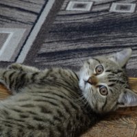 МУРЗИК :: СЕРГЕЙ ФИЛОЧКИН