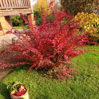 Вдруг выглянуло солнце. :: tatiana Вдруг выглянуло солнце. :: tatiana