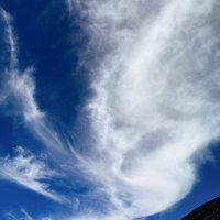 .... :: александр 